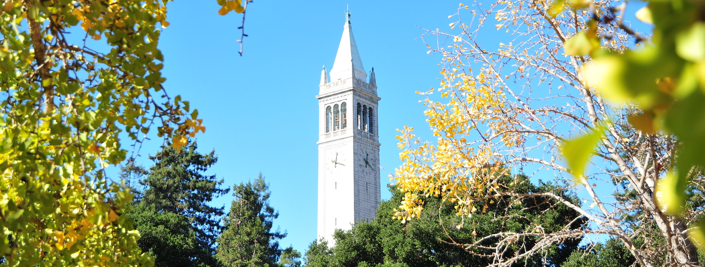 Campanile framed by flowers