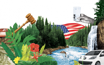 Graphic collage with river, electric car, water glass, gavel, and plants